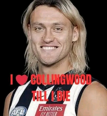 LOYALTY OVER LEGACY:Darcy Moore Rejects $45M Bulldogs Offer—’Collingwood is My Home!’ AFL Fans, This One’s For You …